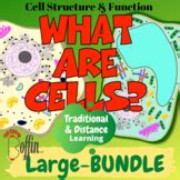 Cell Transport Slides, Worksheets, Notes and More! by Witty Boffin LLC