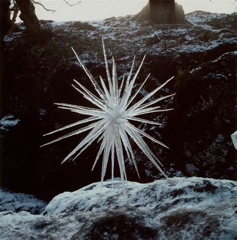 Design is fine. History is mine. | Andy goldsworthy, Ice sculptures, Andy goldsworthy art