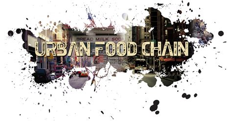 The Urban Food Chain | Indiegogo