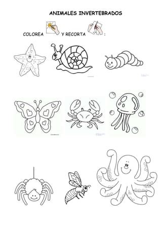 Dibujos de animales invertebrados para colorear | vsun