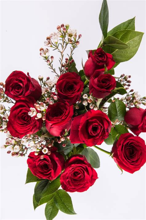 NEXT DAY Valentine's Day Rose Bouquet