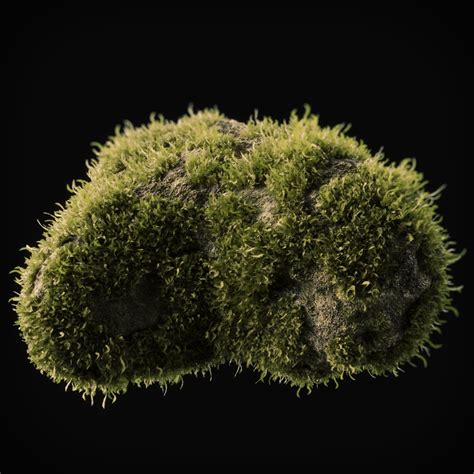 Moss 11 3D Model - TurboSquid 1535012