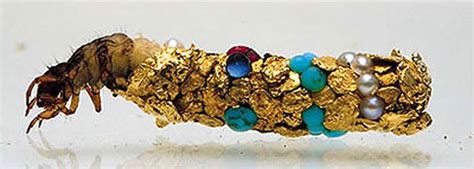 The Ornate Protective Cases of Caddisfly Larvae » TwistedSifter