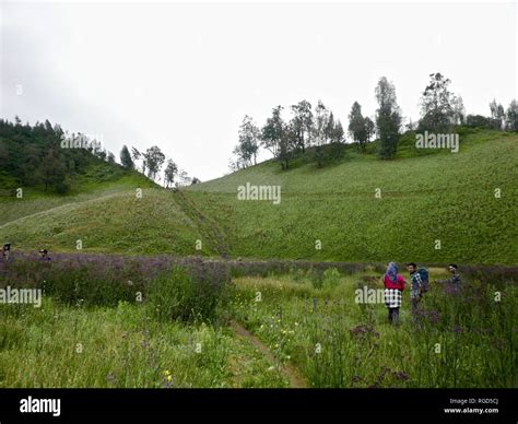 Mount Semeru Hiking Stock Photo - Alamy