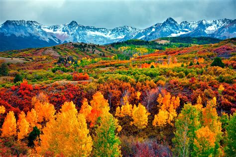 Critter Sitter's Blog: Fall Foliage Photos From National Parks