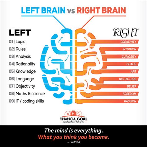 Left Brain Versus Right Brain Infographic Friday Dist - vrogue.co