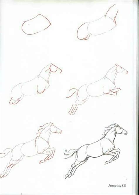 How To Draw A Horse Jumping Step By Step at Drawing Tutorials