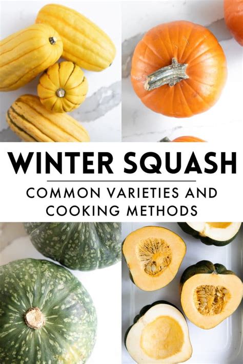 Types of Winter Squash: A Guide to Winter Squash Varieties and Cooking Methods - The Forked Spoon