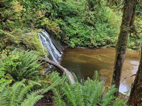 Cherry Creek Falls Trail Multi Trail - Duvall, Washington