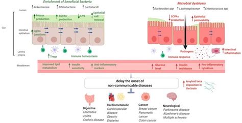 Gut Microbiome Communication: The Gut-Organ Axis