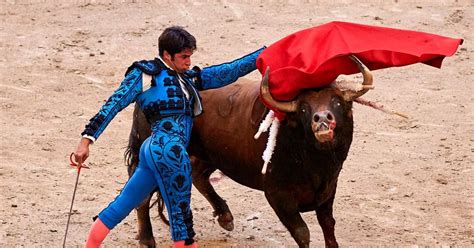 Bullfights In Barcelona 2024 - Toma Kittie