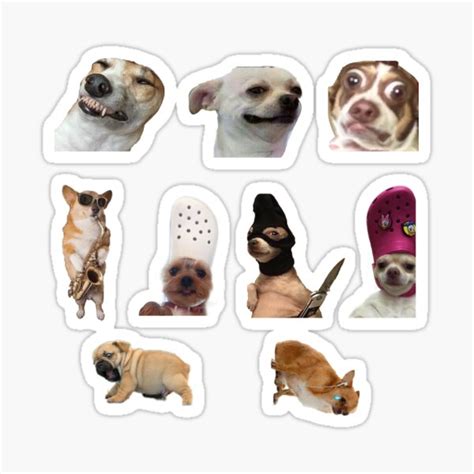 "Dog meme sticker pack " Sticker by Patmackriel70 | Redbubble