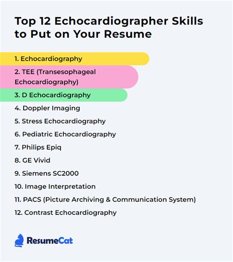 Top 12 Echocardiographer Skills to Put on Your Resume