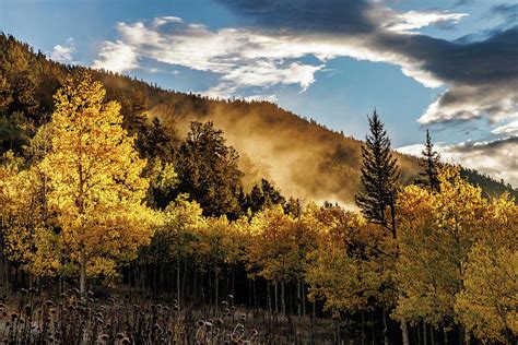 Sunrise Lights up the Fog and Golden Aspen Trees Photograph by Tony ...