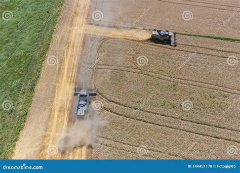 Harvesting wheat harvester stock photo. Image of grinding - 144451178