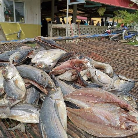 Ikan Bekok Tumpat Pikat Selera Pelancong London