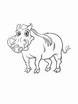 Warthog coloring Pages sketch template