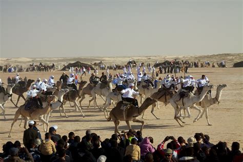 Desert Culture: Festival of the Sahara - PILOT GUIDES