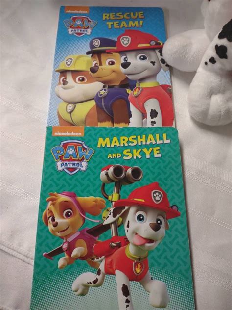 Nickelodeon Paw Patrol Books With Marshall Plush - Etsy