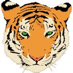 Tiger head on colorful stickers vector image | Free SVG