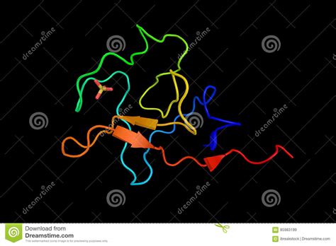 Lipoprotein(a), a Lipoprotein Subclass. a Risk Factor for ...