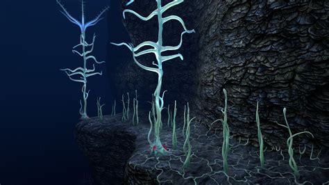 Image - Blood Kelp Zone (3).jpg | Subnautica Wiki | FANDOM powered by Wikia