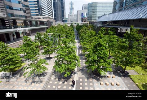 Modern urban landscaping in small park situated between lines of Stock Photo, Royalty Free Image ...