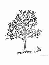Lemon Tree Coloring Pages sketch template