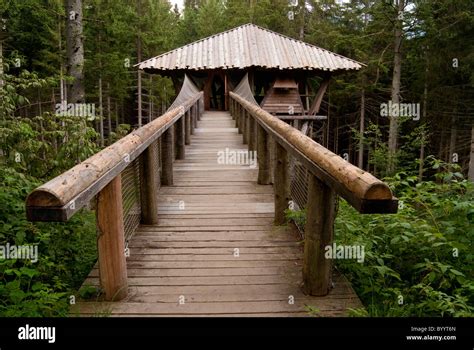 Nature park bavarian forest hi-res stock photography and images - Alamy