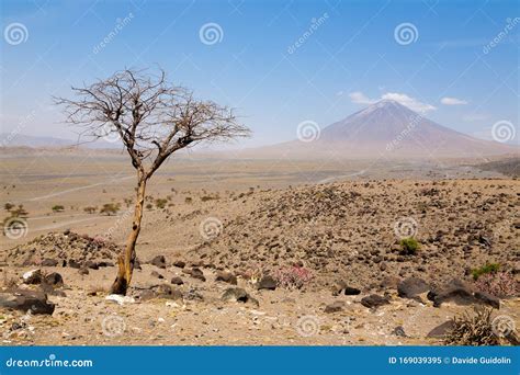 Lake Natron Area Landscape, Tanzania, Africa. Ol Doinyo Lengai Volcano ...