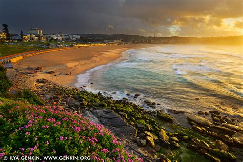 Stormy Sunrise at Bondi Beach Photos, Sydney, NSW, Australia Print | Fine Art Landscape ...