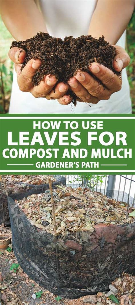 How To Compost Leaves - How To Do Thing