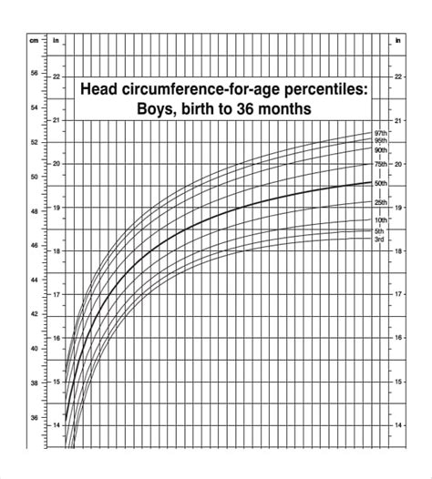 Baby Head Size Chart