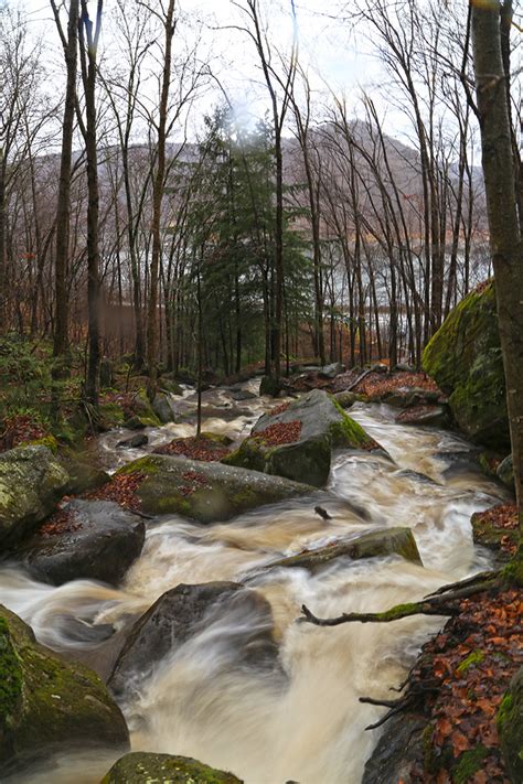 Allegheny National Forest Waterfall Day Trip — Allegheny Outfitters