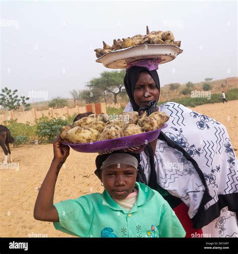 Zinder animal market, Niger Stock Photo - Alamy