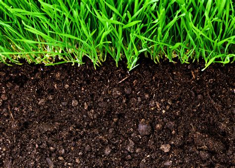 You Need To Know The Importance Of Organic Soil Matter