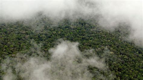 Evidence That Amazon Rainforest Triggers Its Own Rainy Season