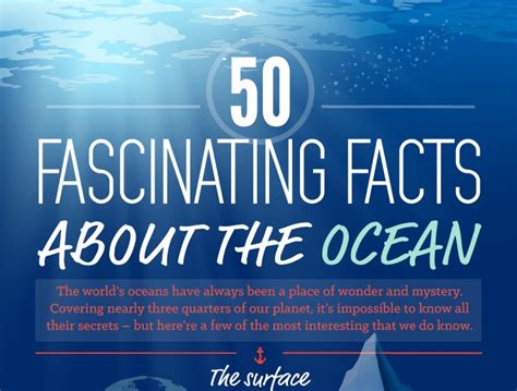 Cool Facts About The Ocean - Jere Robina