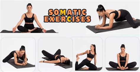 Somatic Exercises for Anxiety: Relieve Stress and Tension Through Movement