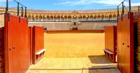 Seville: Plaza de Toros and Museum Guided Tour in Spanish | GetYourGuide