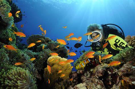 aegypten_rotes_meer_tauchen_11 | Nautilus Tauchreisen