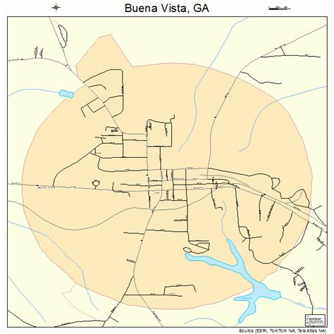 Buena Vista Georgia Street Map 1311728