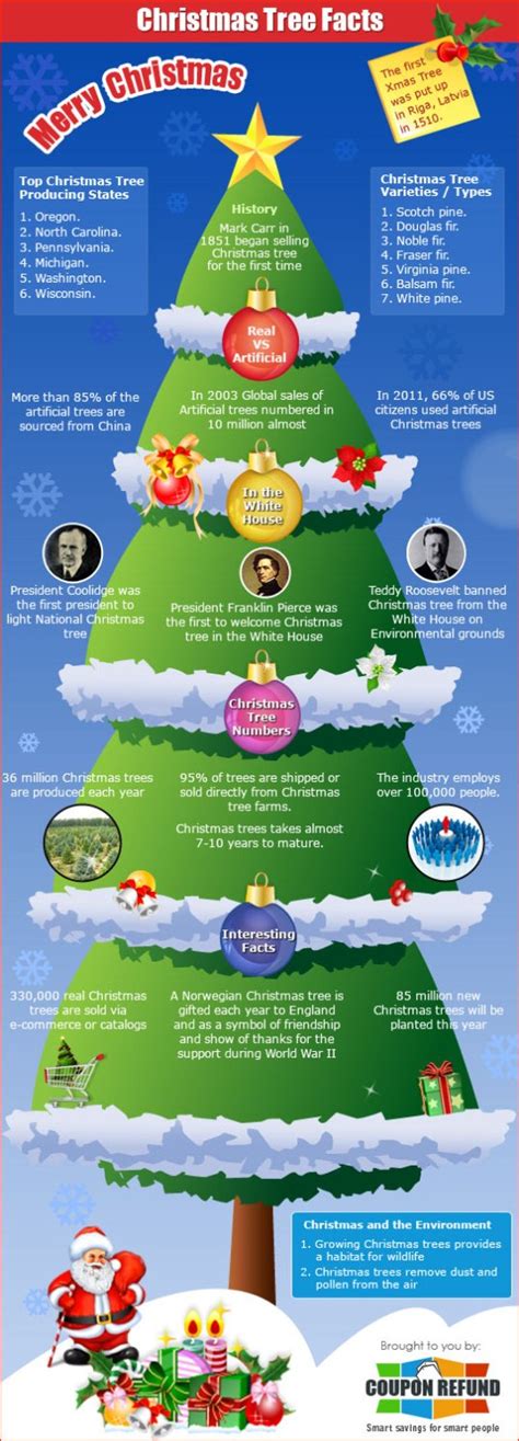 Top 5 Christmas Tree Infographics