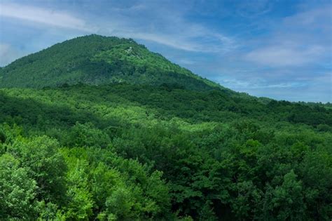 Premium Photo | Landscape big green mountain peak against the blue sky ...