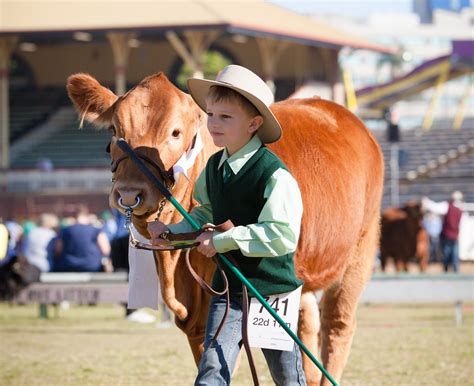 Scenic Rim residents to choose EKKA holiday for 2023 and beyond ...