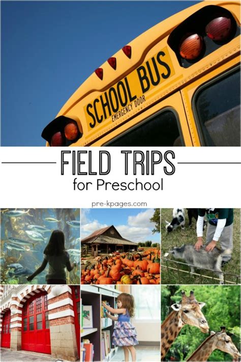 Field Trip Ideas for Preschool and Kindergarten