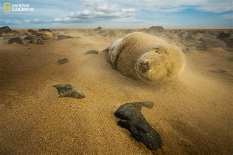 2016 National Geographic Nature Photographer of the Year - Mirror Online