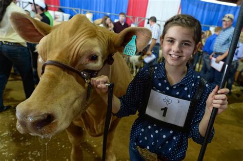 State Fair of Texas | State fair, Dairy cattle, Livestock