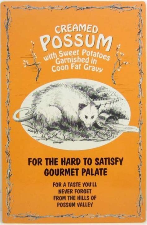 How To Cook A Possum – Old Time Possum Recipe | Possum recipe, Possum stew recipe, Opossum recipe