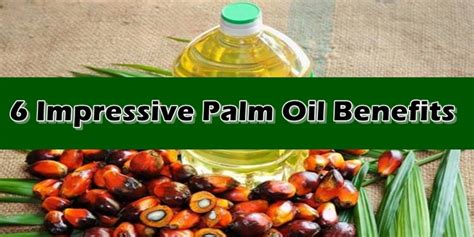 Palm Oil Benefits | NewsFeed